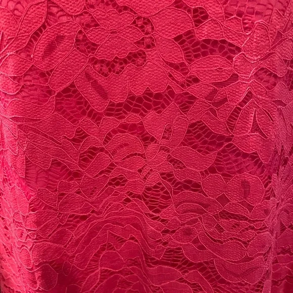 Belongsei Hot Pink Floral Lace 3/4 flare sleeves V neck dress NWOT - Picture 5 of 6